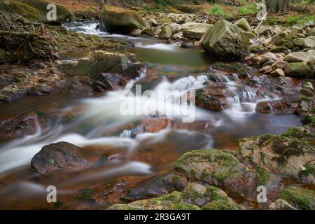 Il fiume Ilse vicino Ilsenburg ai piedi del Brocken nel Parco Nazionale di Harz in Germania Foto Stock