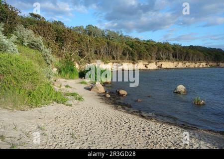 Ripida costa sul Mar Baltico, isola di Poel Foto Stock