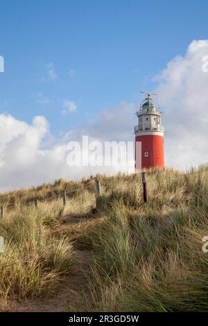 Faro Eierland su Texel Foto Stock