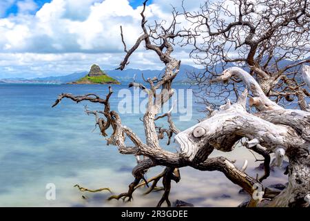 Cappello di Chinaman su Kane'ohe Bay oahu hawaii Foto Stock