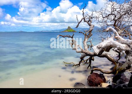 Cappello di Chinaman su Kane'ohe Bay oahu hawaii Foto Stock