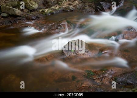 Il romantico fiume Ilse vicino Ilsenburg, ai piedi del Brocken, nel Parco Nazionale di Harz, in Germania Foto Stock