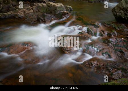 Il romantico fiume Ilse vicino Ilsenburg ai piedi del Brocken nel Parco Nazionale di Harz Germania Foto Stock