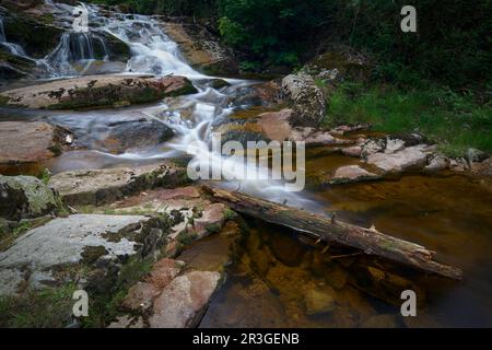 Il romantico fiume Ilse vicino Ilsenburg, ai piedi del Brocken, nel Parco Nazionale di Harz Foto Stock