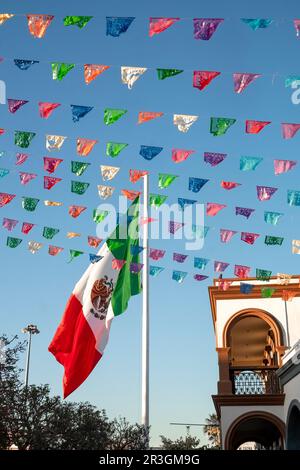 Grandi bandiere messicane e cartoni nella piazza principale di San José del Cabo, Baja California sur, Messico Foto Stock