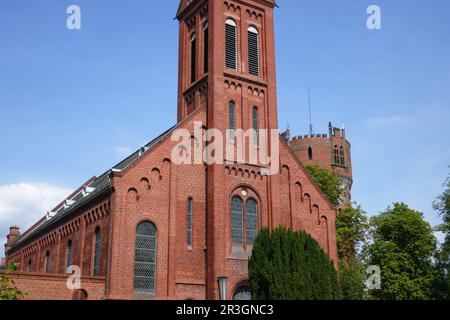 Chiesa cattolica di San Laurentius a Wismar Foto Stock