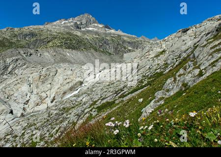 Il letto senza ghiaccio del ghiacciaio del Rodano, Gletsch, Vallese, Svizzera Foto Stock