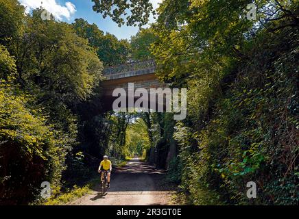 Ponte sulla pista ciclabile Rheinischer Esel con ciclisti, Dortmund, Ruhr, Germania, Europa Foto Stock