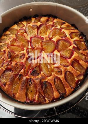 Torta di susina in una teglia da forno, cibo sano fatto in casa, cibo biologico Foto Stock