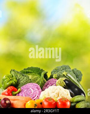 Varietà di carni fresche verdure organiche in giardino Foto Stock