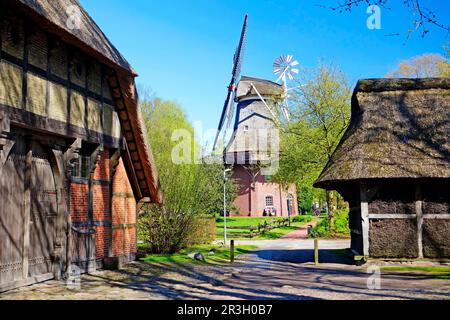 Mulino a vento, galleria a due piani olanda, museo all'aperto, Bad Zwischenahn, Ammerland, Germania Foto Stock