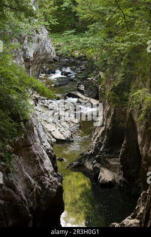 Parco Nazionale di Skocjanske, Istria, Slovenia Foto Stock