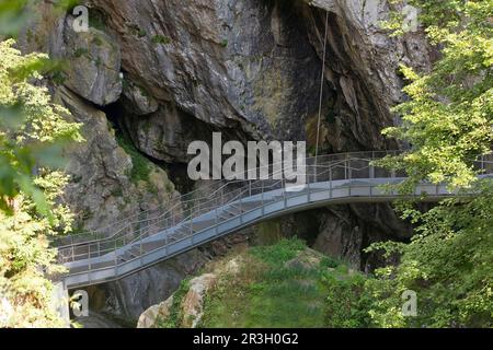 Skocjanske grotta, adriatico, istria, slowia Foto Stock