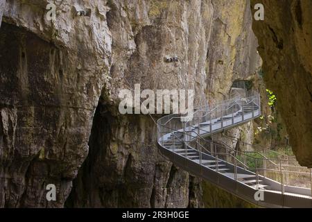 Skocjanske grotta, adriatico, istria, slowia Foto Stock