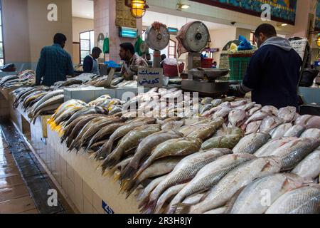 Pesce in vendita, mercato della pesca, Kuwait City, Kuwait Foto Stock