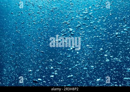 In acqua, sotto acqua, sott'acqua che sale molti, piccole bolle, cortina di bolle, Cortina di bolle, blu, mare di Sulu, Oceano Pacifico, Palawan, Calamiano Foto Stock