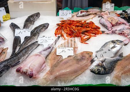 Ottima scelta di pesce fresco e frutti di mare in vendita presso un mercato Foto Stock