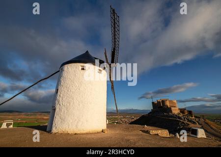 Mulini a vento di Consuegra, collina di Calderico, Consuegra, provincia di Toledo, Castilla-la Mancha, Spagna. Foto Stock