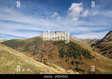 Pico de la ralla, 2146 mts, -Mallo de las Foyas-, Valle di Heche, valli occidentali, catena pirenaica, provincia di Huesca, Aragona, Spagna, Europa. Foto Stock