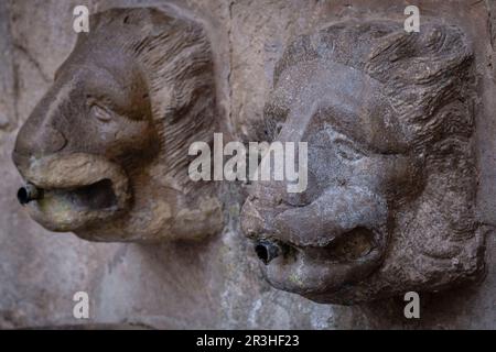 La Fuente de Los Leones, Murillo de Rio Leza, La Rioja , Spagna, Europa. Foto Stock