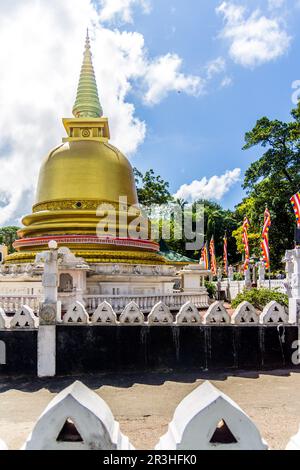 Vicino a Dambulla, Sri Lanka, il Tempio d'oro di Dambulla, noto anche come Tempio della Grotta di Dambulla, è un sito patrimonio dell'umanità. Foto Stock