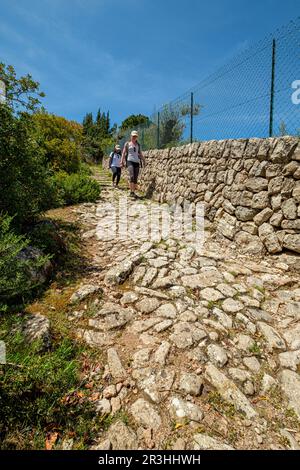 Camí des Monts-reials, valle de Soller Maiorca, isole Baleari, Spagna. Foto Stock