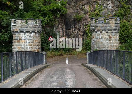 Craigellarchy Bridge, River Spey, Aberlour, Highland, Regno Unito Foto Stock