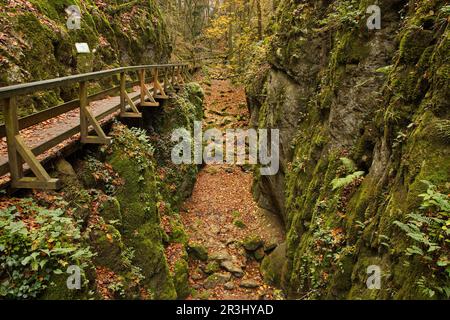 Sentiero escursionistico a Johannesbachklamm tra Würflach und Greith, bassa Austria, Austria, Europa, Europa centrale Foto Stock