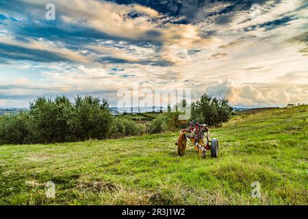 Vecchio aratro arrugginito su una collina verde Foto Stock