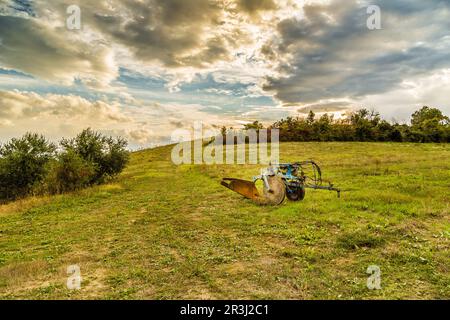 Vecchio aratro arrugginito su una collina verde Foto Stock
