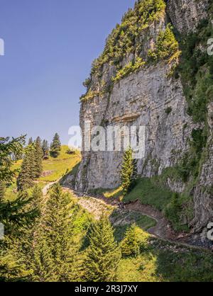 Sentiero escursionistico ad alta quota nei pressi di Hoher Kasten Appenzell Innerrhoden, Svizzera Foto Stock