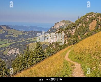 Alta quota Sentiero escursionistico Hoher Kasten, Canton Appenzell Innerrhoden, Svizzera Foto Stock