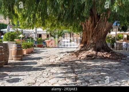 Pittoresco cortile o baglio con gastronomia nel villaggio di Scopello in Sicilia Foto Stock