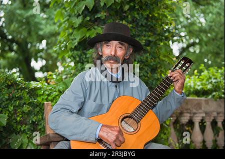 Gaucho di cantare e suonare la chitarra, San Antonio de Areco, Provincia di Buenos Aires, Argentina, Sud America Foto Stock