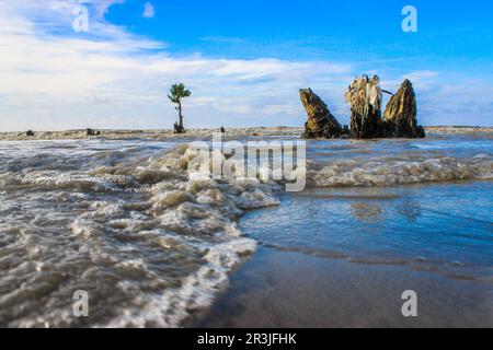 primo piano di onde in spiaggia bagnata, cielo blu con nuvola bianca sullo sfondo. Radice aerea, radice di mangrovie sulla spiaggia di mare. Foto Stock