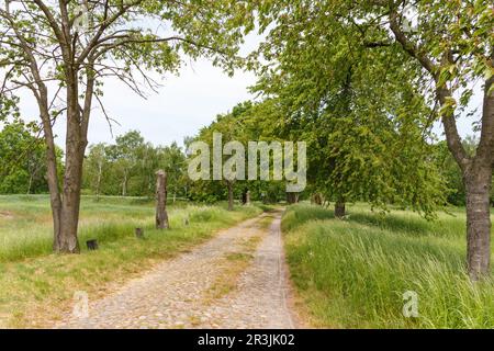 La campagna fuori Berlino a Gatow Foto Stock