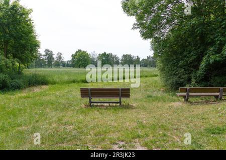 La campagna fuori Berlino a Gatow Foto Stock