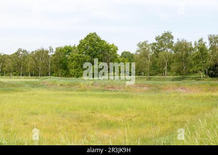 La campagna fuori Berlino a Gatow Foto Stock