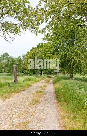 La campagna fuori Berlino a Gatow Foto Stock