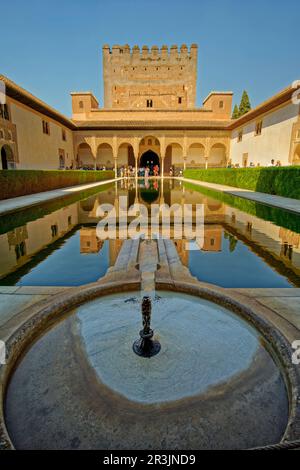 La Corte dei Myrtles, una parte del Palazzo Nasridi Comares, parte del complesso del Palazzo Alhambra a Granada, Andalusia, Spagna. Foto Stock