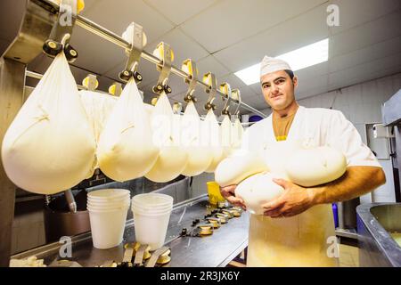 Fatto tutto artigianelmente fabricacion de queso Binigarba - denominacion de origen Mahon artesano- finca Binigarba, Ciutadella, Menorca, Islas Baleares, España, Europa. Foto Stock