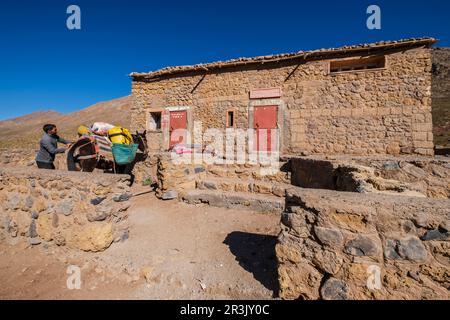 Rifugio Tarkeddit, trekking Ighil M'Goun, catena montuosa dell'Atlante, marocco, africa. Foto Stock