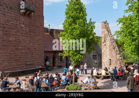 Birreria all'aperto nel cortile del castello di Landeck, Klingenmuenster, Palatinato, Renania-Palatinato, Germania, Europa Foto Stock