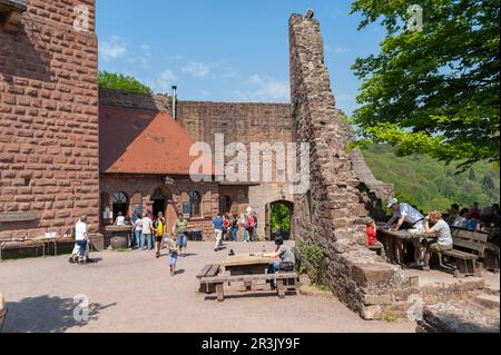Birreria all'aperto nel cortile del castello di Landeck, Klingenmuenster, Palatinato, Renania-Palatinato, Germania, Europa Foto Stock