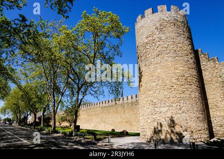 murallas de Evora, Alentejo, Portogallo, europa. Foto Stock