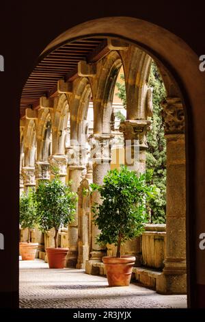 Claustro renacentista, siglo XVI, Monasterio de San Jerónimo de yuste , siglo XV, comarca de de la Vera, Cáceres, Estremadura, Spagna, Europa. Foto Stock