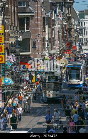 Paesi Bassi, Amsterdam. Negozi e tram nella Leidsestraat. Foto Stock