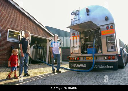 Paesi Bassi, Gaanderen - Rijdende Melk ontvangst (RMO) o la ricezione del latte guida è un camion cisterna che raccoglie il latte dalla fattoria. Il latte nel co Foto Stock