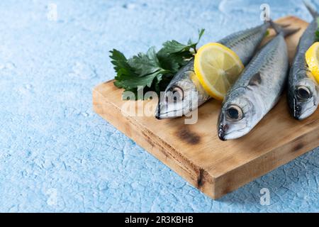 Sgombro crudo sale di pesce intorno su sfondo blu Foto Stock