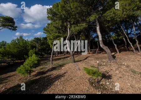 Na Miranda, parco naturale di SA Dragonera, Maiorca, Isole Baleari, Spagna. Foto Stock